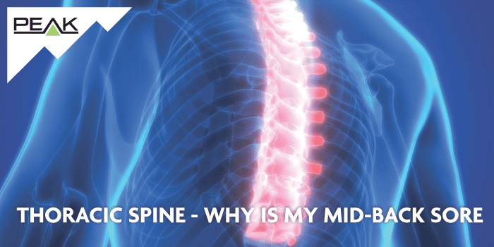 Thoracic Spine