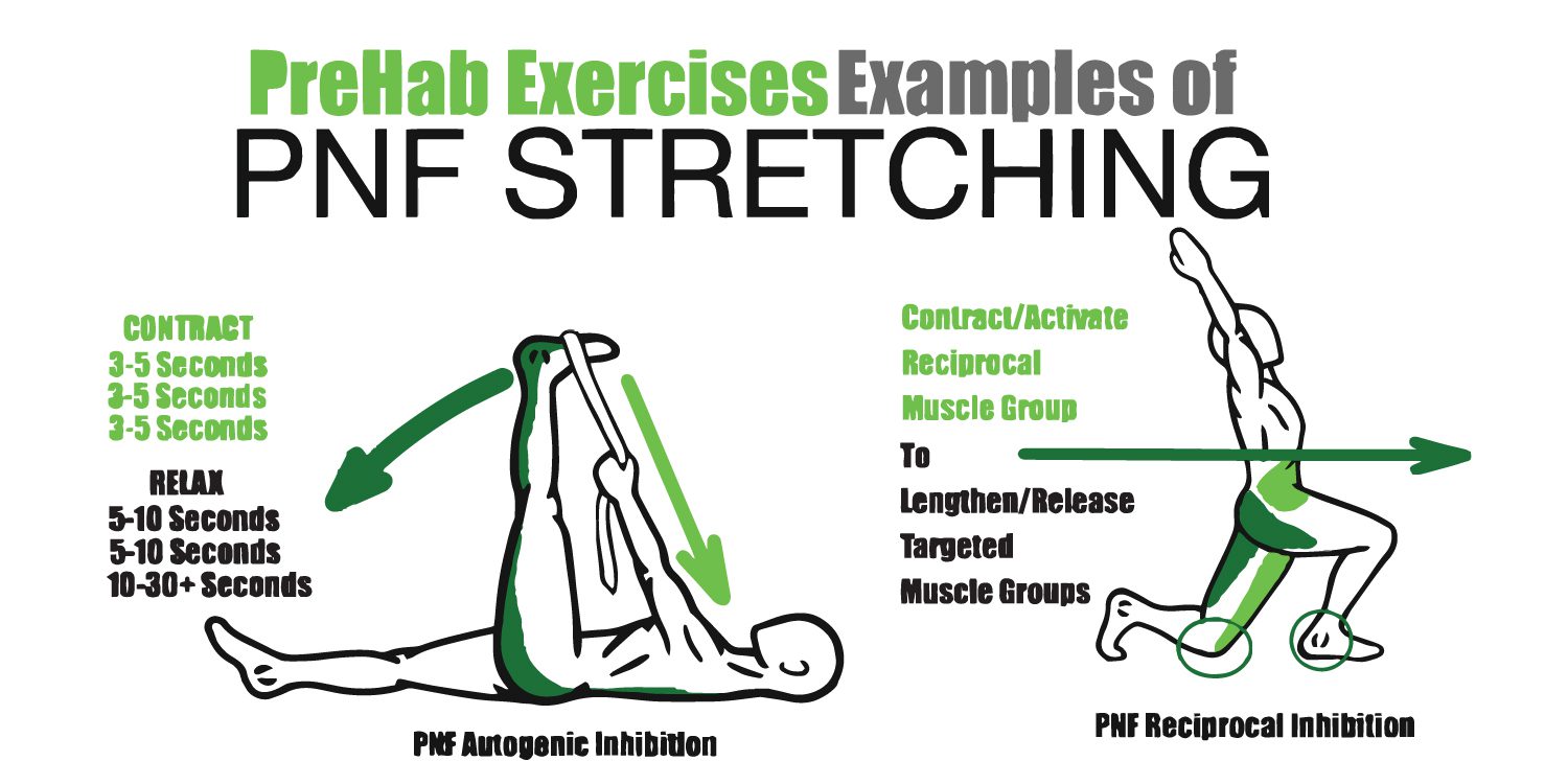 WHAT IS PNF AND HOW CAN IT BENEFIT YOU? Peak Sport And Spine Centre