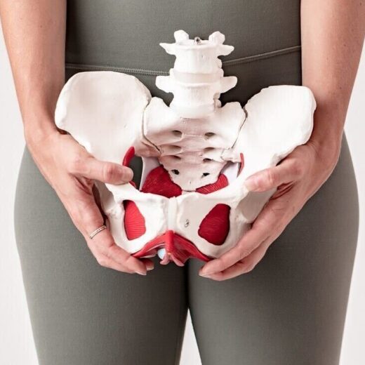 Learn about urinary incontinence pelvic floor.