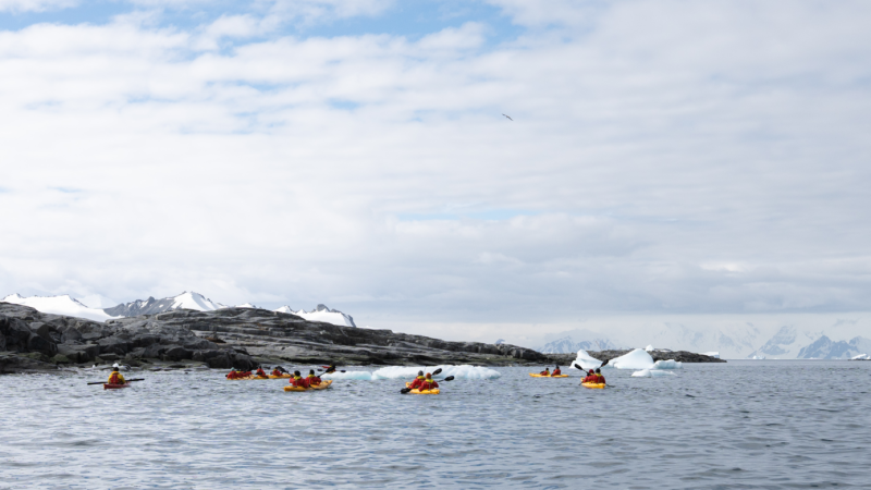 Group kayaking in Antarctica among icebergs and cold ocean landscape