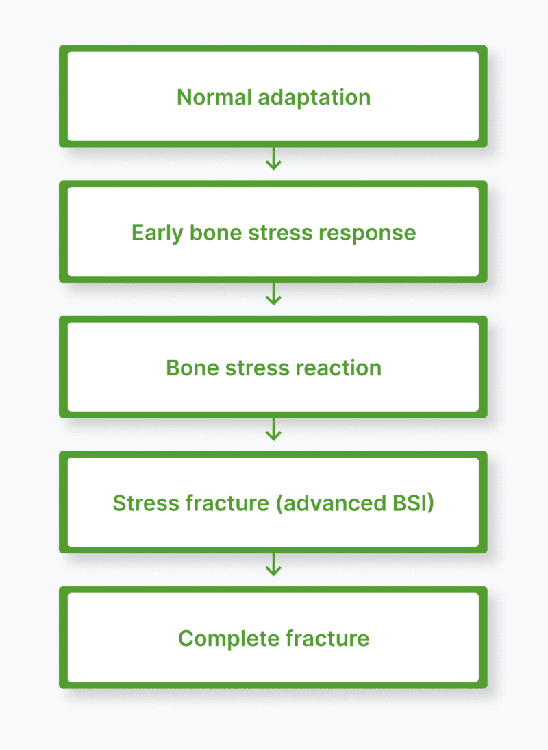 Diagram showing progression from normal bone remodelling to stress fracture and complete fracture